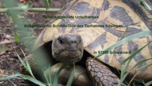 Buchdownload Haltung Landschildkröten