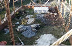 Freigehege für europäische Landschildkröten