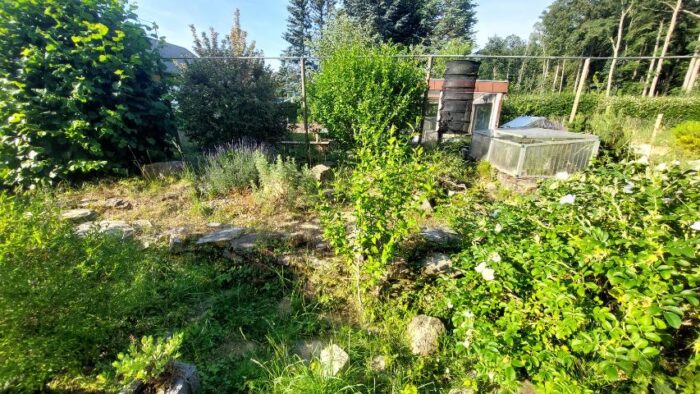 Landschildkröten und Hitze - Unser Freigehege