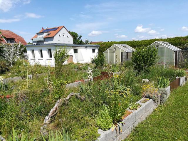 Ein Teil unserer Außengehege mit dem Haus für die großen Panther im Hintergrund 