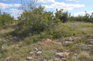 Habitat in Bulgarien
