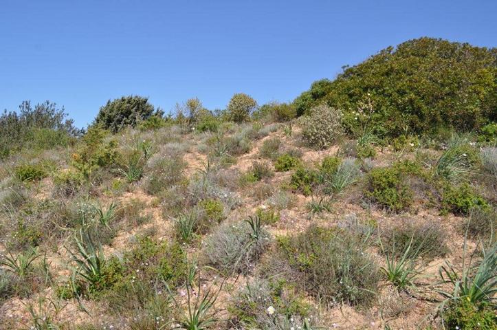 Lebensraum auf Sardinien