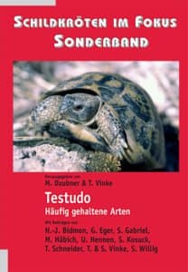 Schildkröten im fokus