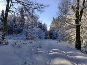 Winter im Hunsrück