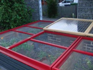 Freigehege von Maria Krüger