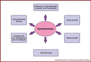 Folgen von auf Gyrasehemmung basierenden Antibiotika