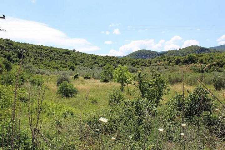 Schildkrötenhabitat für Landschildkröten