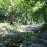 Schildkrötenhabitat für Landschildkröten