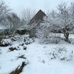 Naturnahe Überwinterung-Geht das? Überwinterung europäischer Landschildkröten