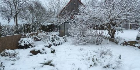 Naturnahe Überwinterung 