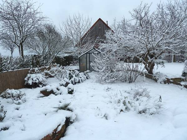 Überwinterung europäischer Landschildkröten