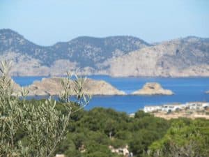 Schildkrötenhabitat im Südwesten Mallorcas-Landschildkröten auf Mallorca-Teil 2