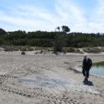 Schildkrötenhabitat am Strand-Nordküste