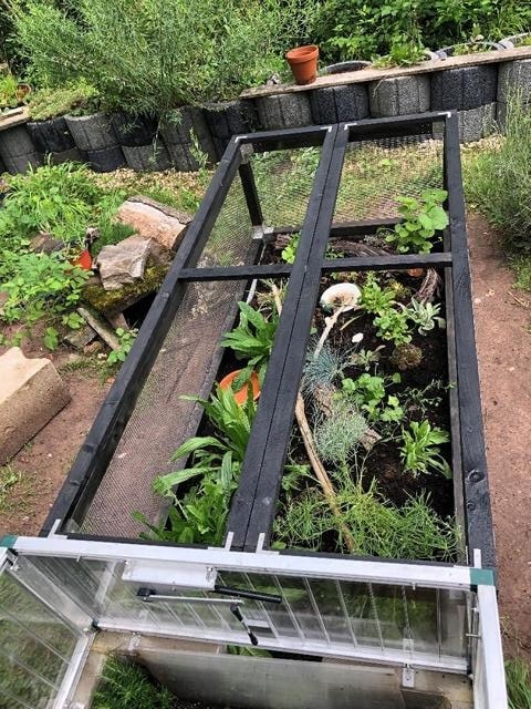 Eine Freigehege für Nachzuchten-Baubericht neuer "Kindergarten"