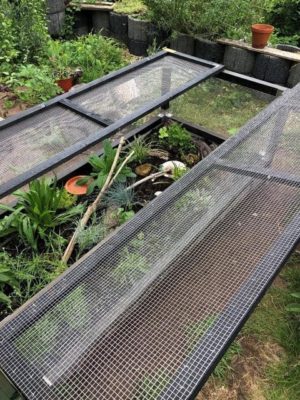 Eine Freigehege für Nachzuchten-Baubericht neuer "Kindergarten"