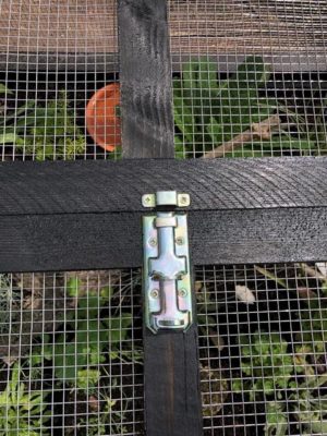 Eine Freigehege für Nachzuchten-Baubericht neuer "Kindergarten"