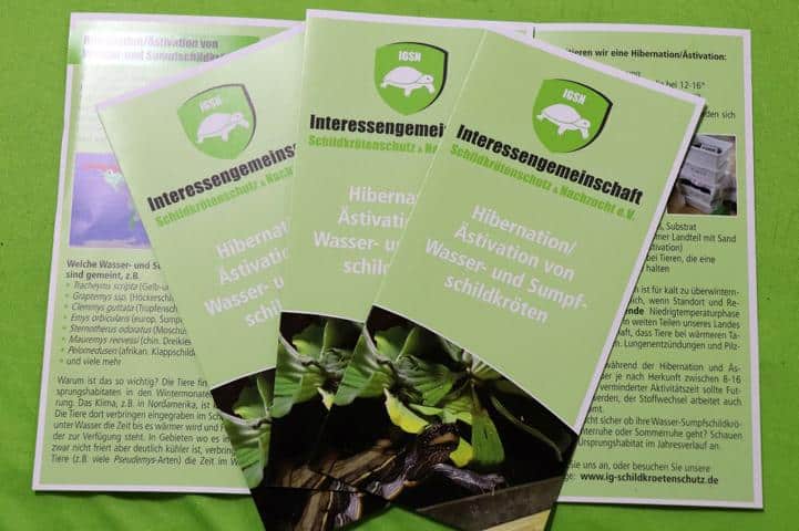 Flyer IGSN – Interessengemeinschaft Schildkrötenschutz & Nachzucht e.V.