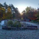 Arbeiten im und am Schildkrötengehege-Monat November