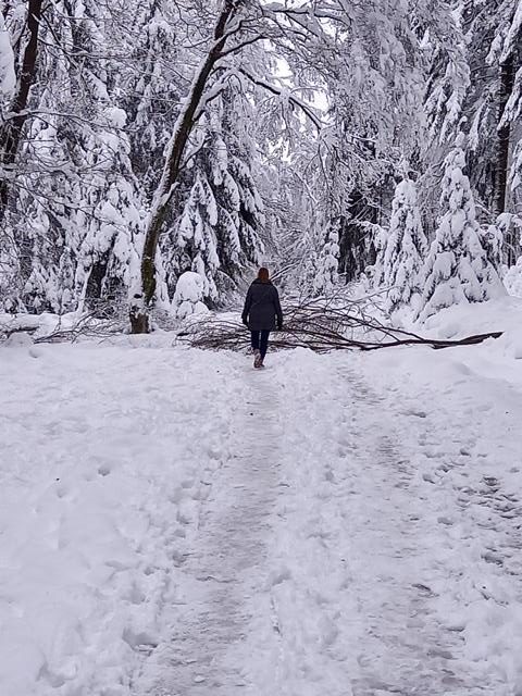 Rückblick 2020-Winterlandschaft im Dezember 2020