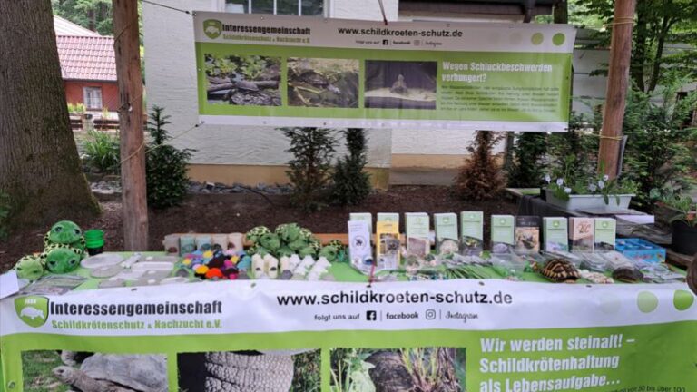 Die-IGSN-Interessengemeinschaft-Schildkroetenschutz