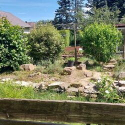 Effizient und artgerecht: Thermozeitschaltuhren (Thermostate) in der Schildkrötenhaltung Effizient und artgerecht Thermozeitschaltuhren (Thermostate) in der Schildkrötenhaltung