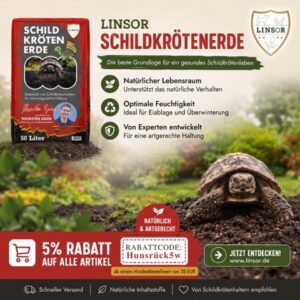 Linsor.de