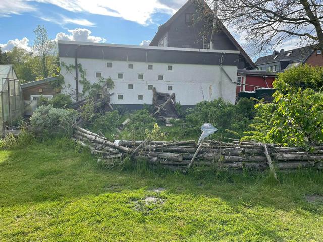 Freigehege von Köhlerschildkröten