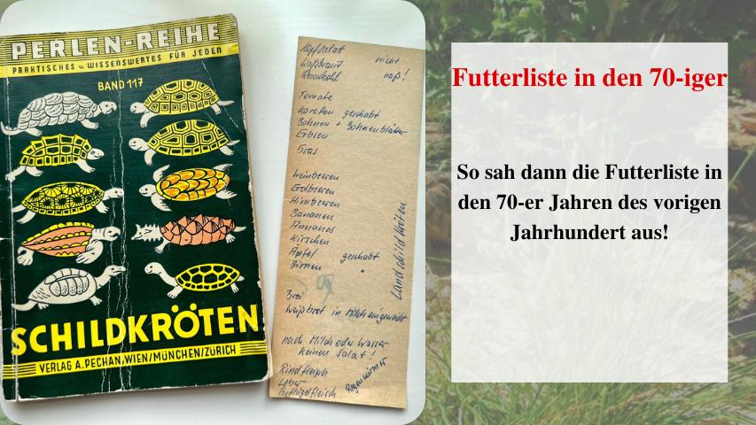 Nachgefragt bei Iris-Futterliste für Schildkröten in den 70-er Jahren des vorigen Jahrhunderts!