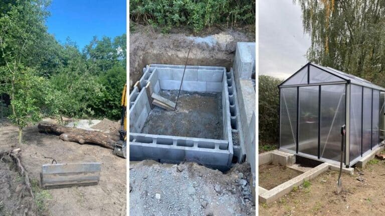 Gehegebau für Breitrandschildkröten