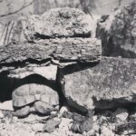 Gehegebilder von Lisi Taferner