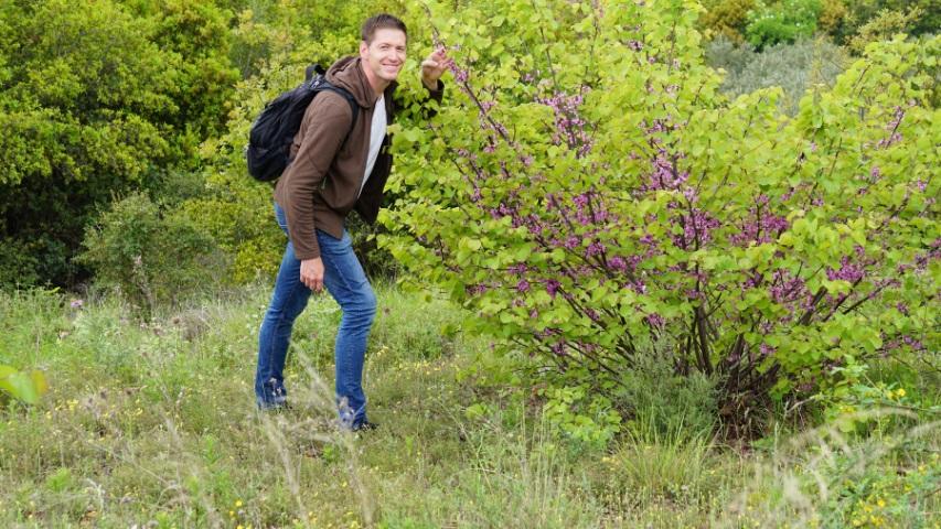 Pinios-Delta: Thorsten Geier schnuppert an den Blüten des Judasbaums