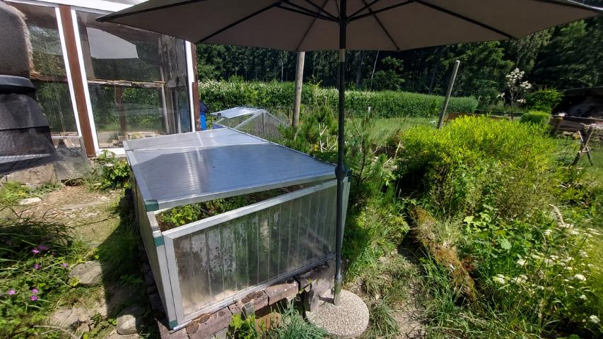Sonnenschirm als Schattenspender für unser Beckmann-Frühbeet