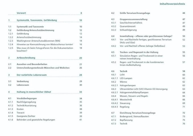 Spaltenschildkröten Malacochersus tornieri: Ratgeber zur Haltung dieser kleinbleibenden Landschildkrötenart