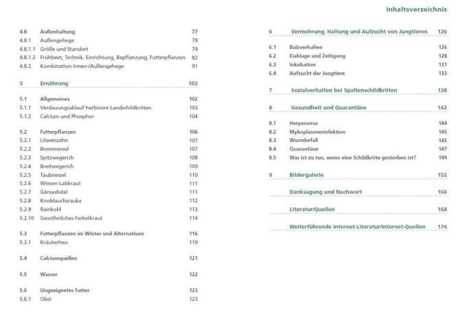 Spaltenschildkröten Malacochersus tornieri: Ratgeber zur Haltung dieser kleinbleibenden Landschildkrötenart