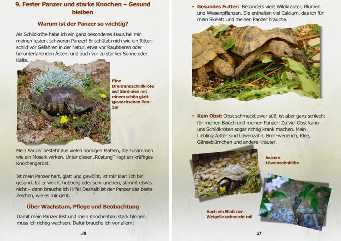 „Mit Lenja im Schildkrötengarten – Dein Kinder-Ratgeber zur Haltung Europäischer Landschildkröten - Leseproben