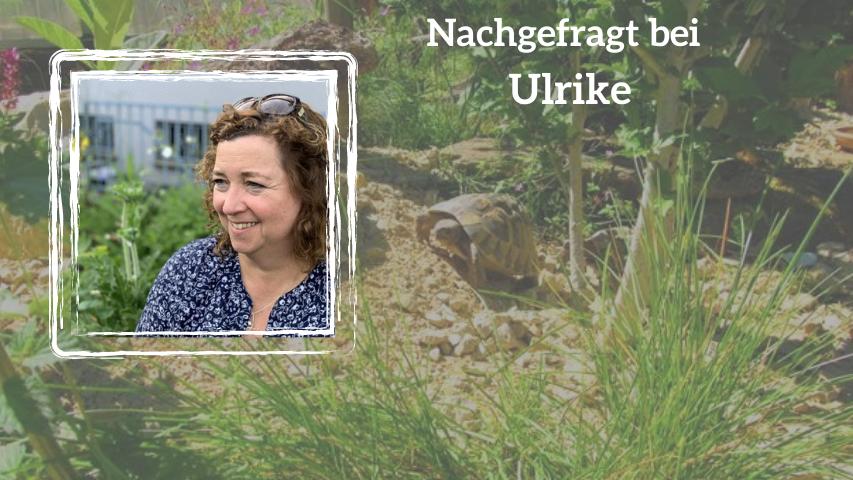 Nachgefragt bei Ulrike