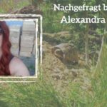 Nachgefragt-Teil 12