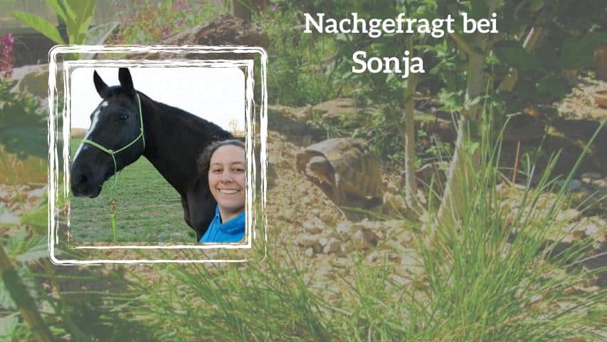 Nachgefragt bei Sonja