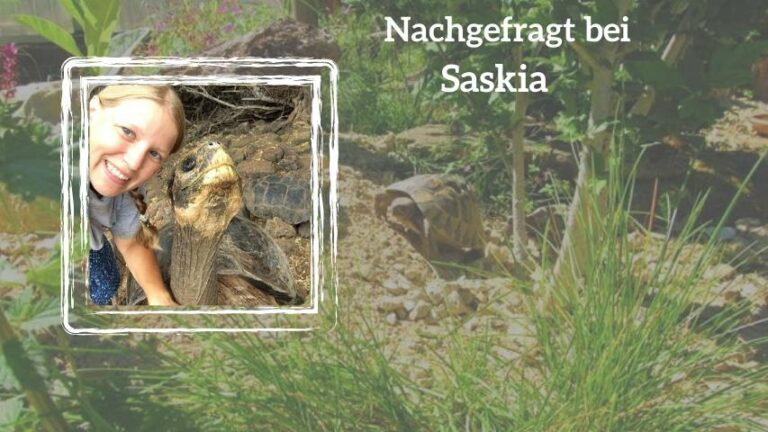 Nachbefragt bei Saskia