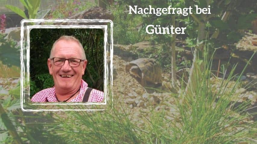 Nachgefragt bei Günter