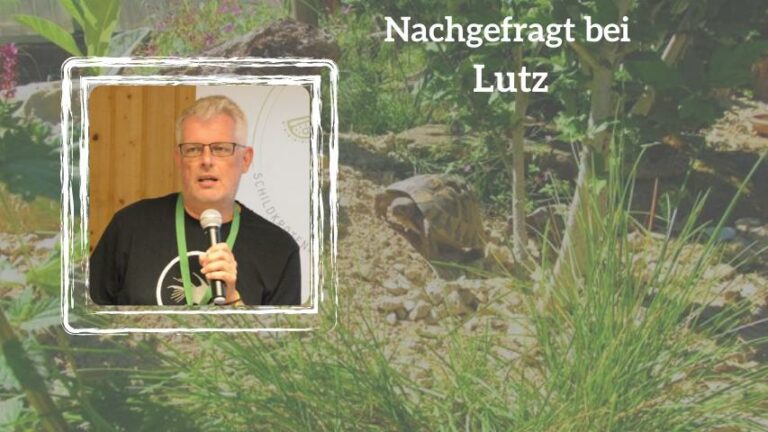 Nachgefragt bei Lutz