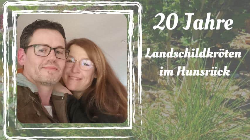 Gewinnspiel: Sonja und Torsten: 20 Jahre Landschildkröten im Hunsrück