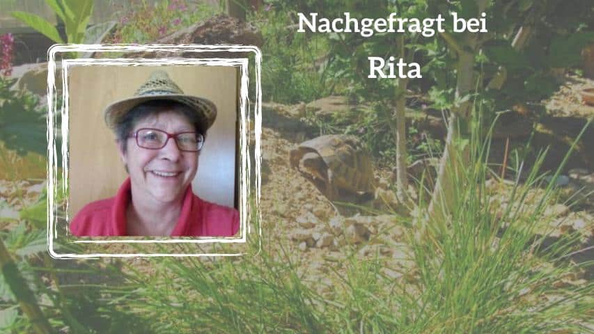 Nachgefragt bei Rita