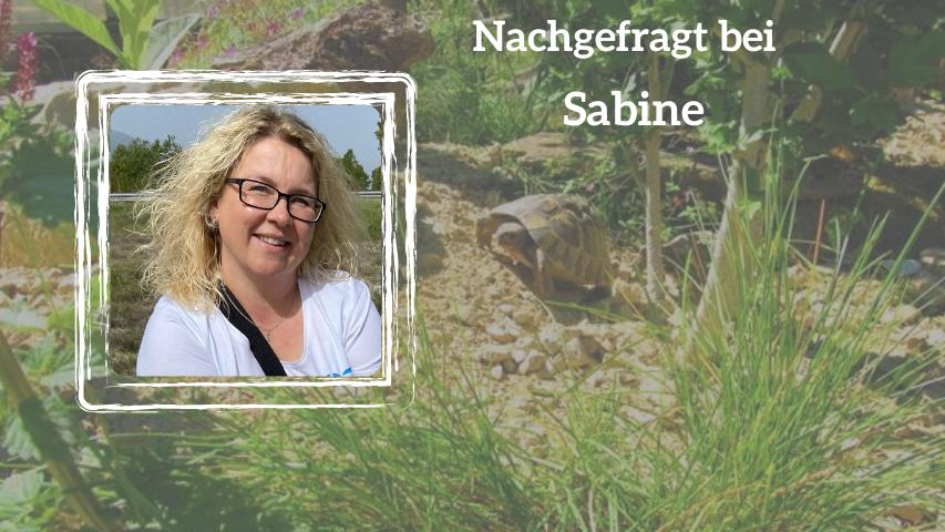 Nachgefragt bei Sabine