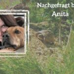 Nachgefragt-Teil 14