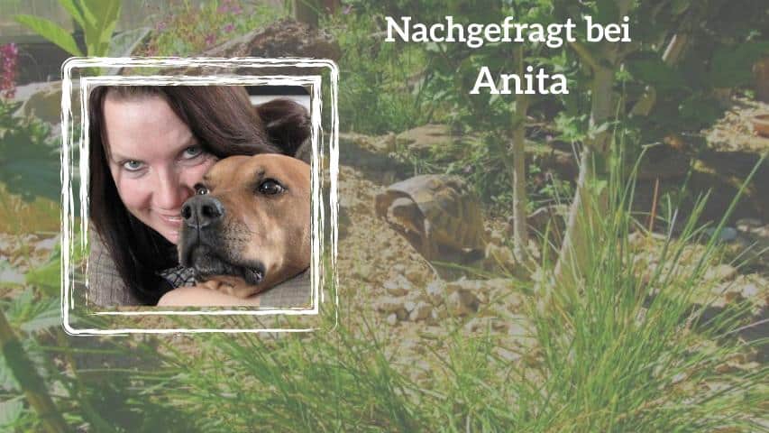 Nachgefragt bei Anita