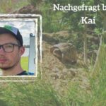 Soli Animals: Nachgefragt bei Kai Kötter