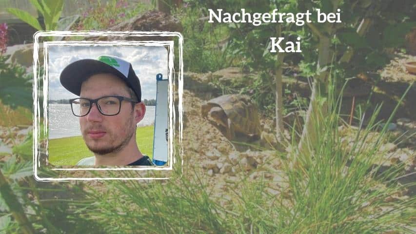 Soli Animals: Nachgefragt bei Kai Kötter