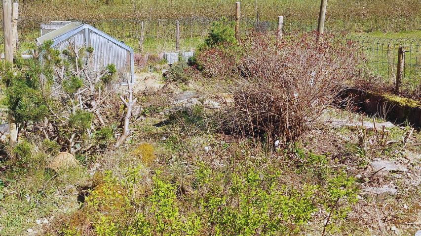 Schildkrötenhaus Bungalow "Typ" Residenz