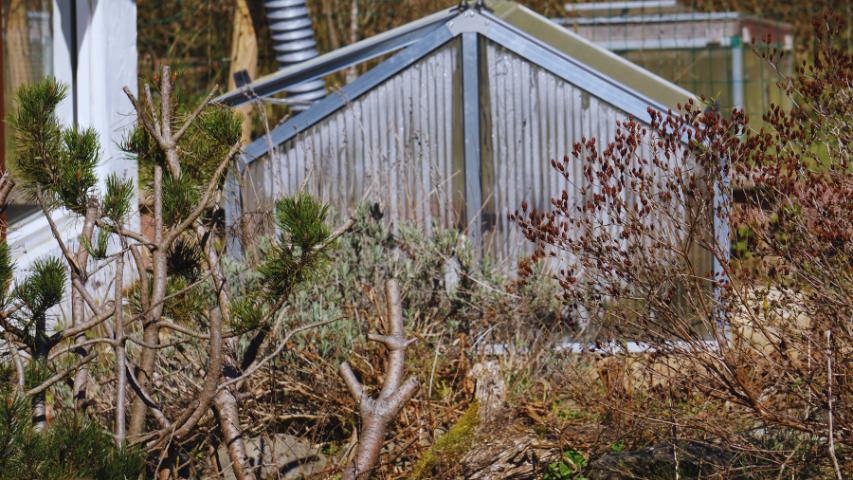 Schildkrötenhaus Bungalow "Typ" Residenz